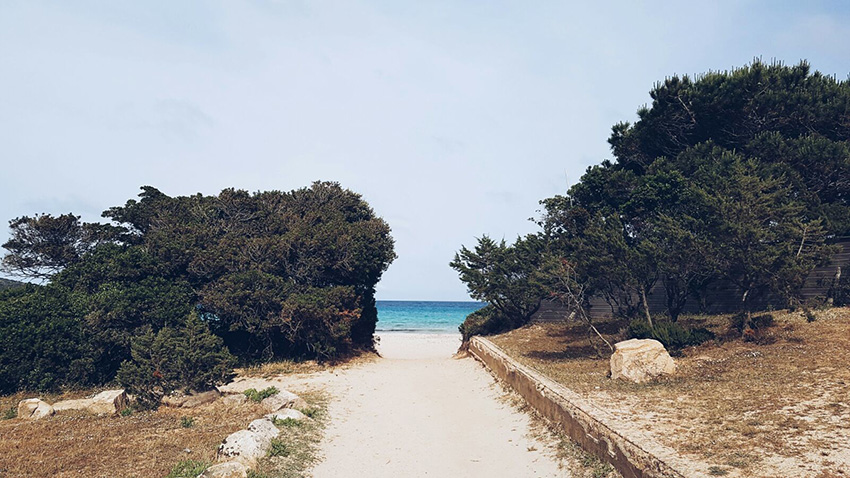 spiaggia_la_rondinara_corsica